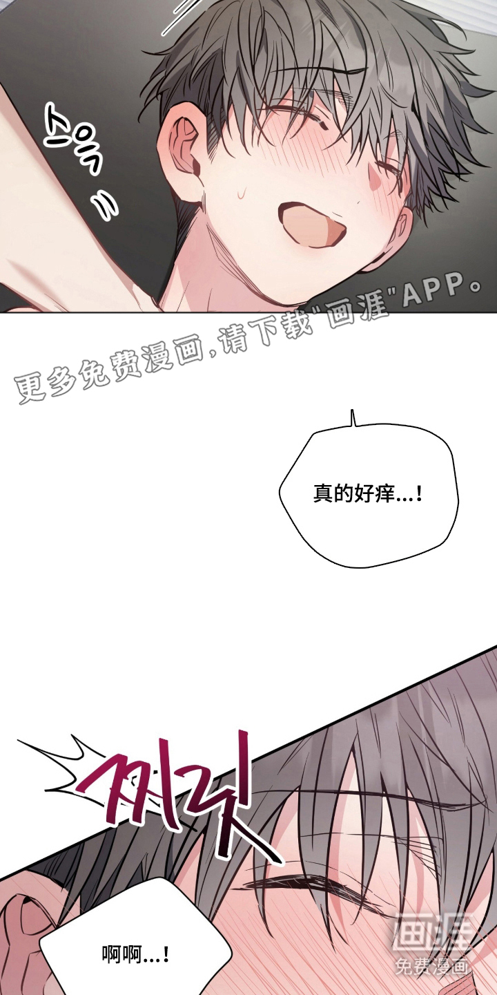 星光与谎言第19话图