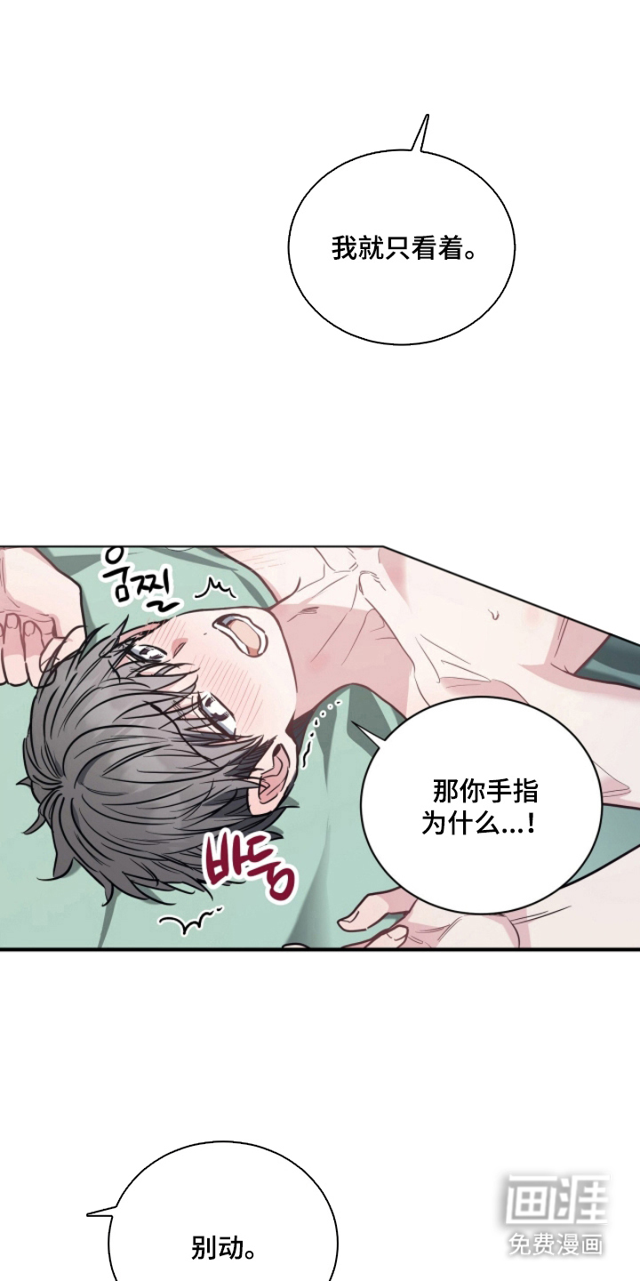 星光与谎言第23话图