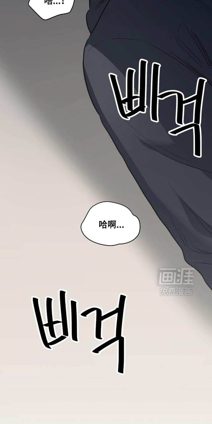 星光与谎言第24话图