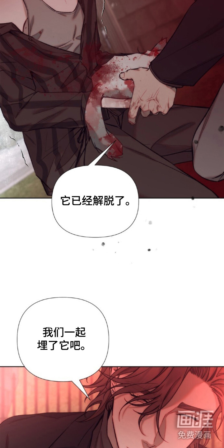 血色魅影漫画-图4