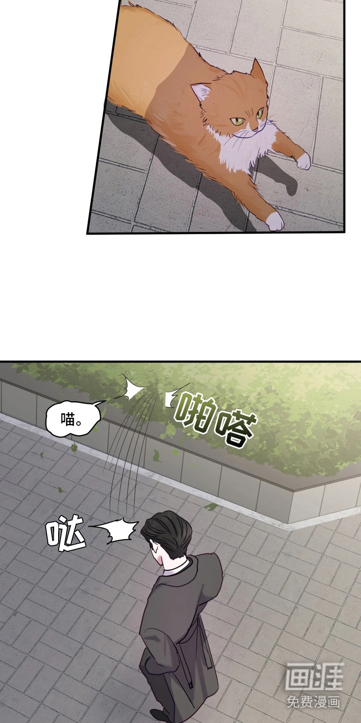 系统逼我当霸总漫画-图4