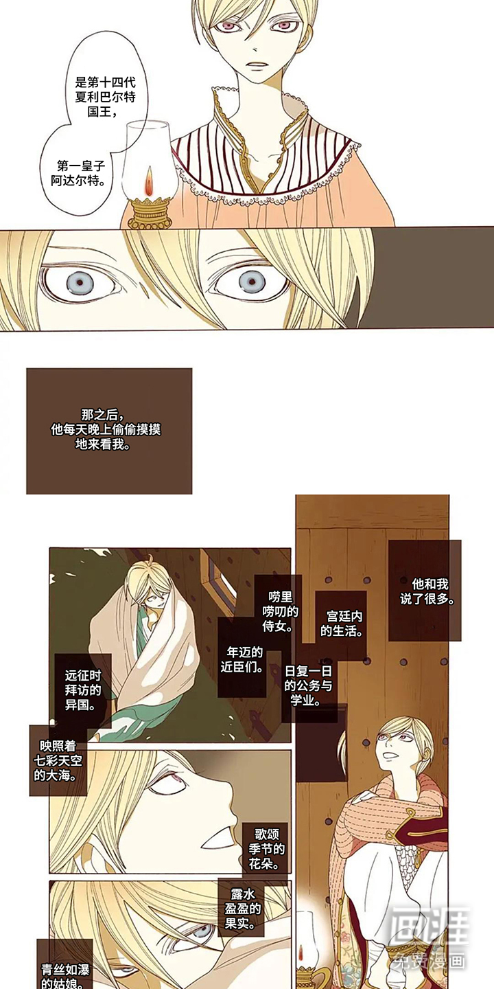 夏利巴尔特之影漫画-图3