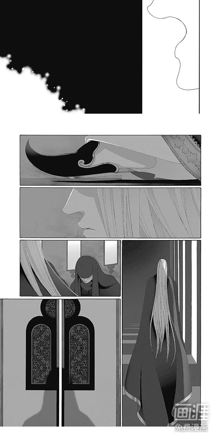 夏利巴尔特之影漫画-图4