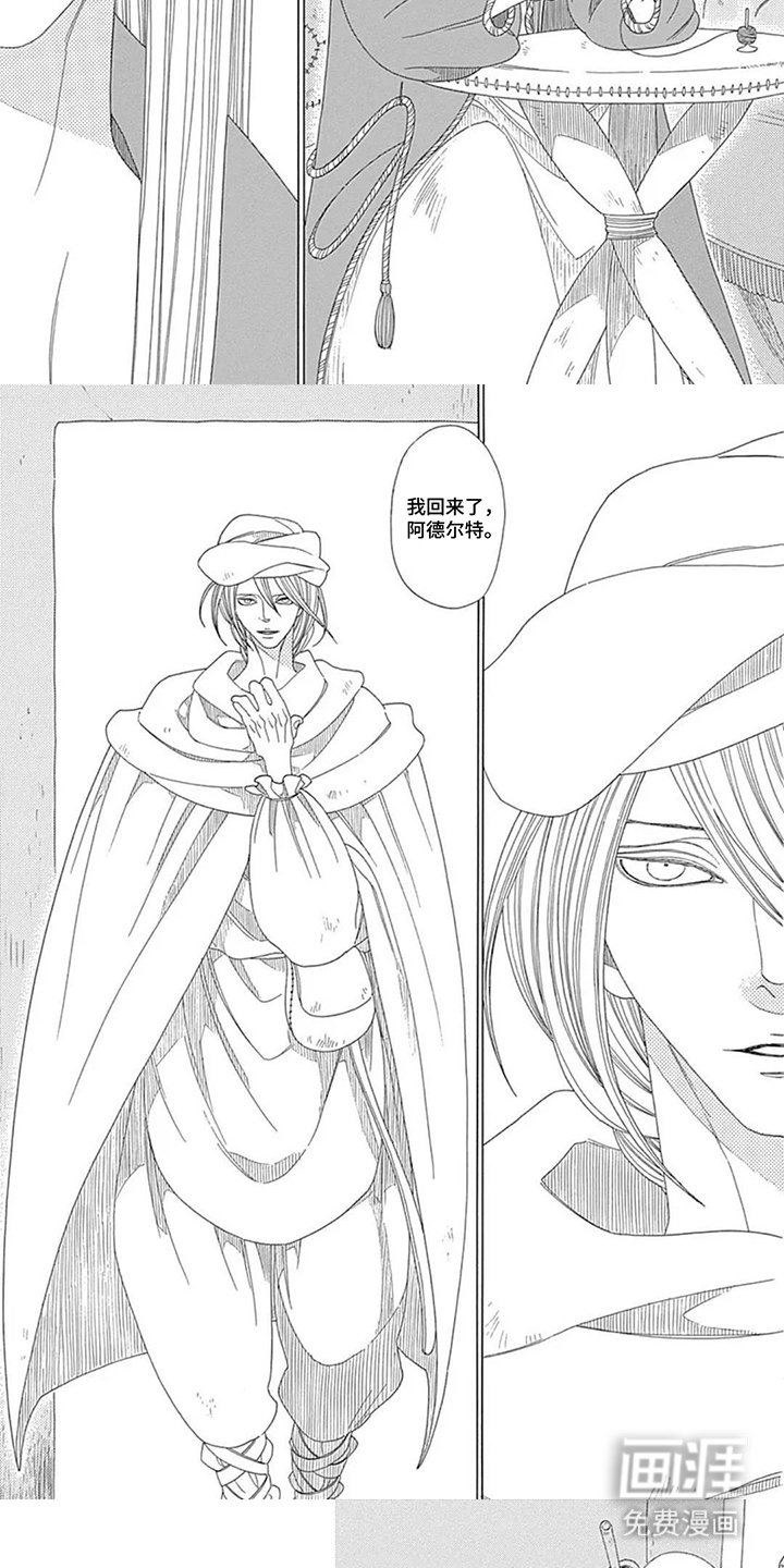 夏利巴尔特之影漫画-图4