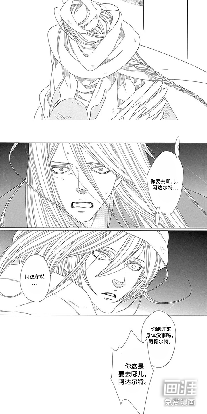 夏利巴尔特之影漫画-图6
