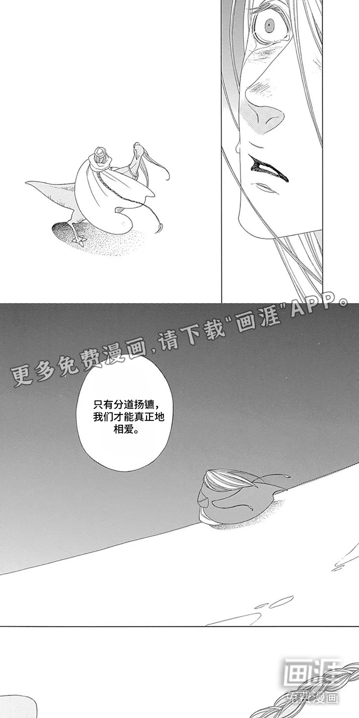 夏利巴尔特之影漫画-图1