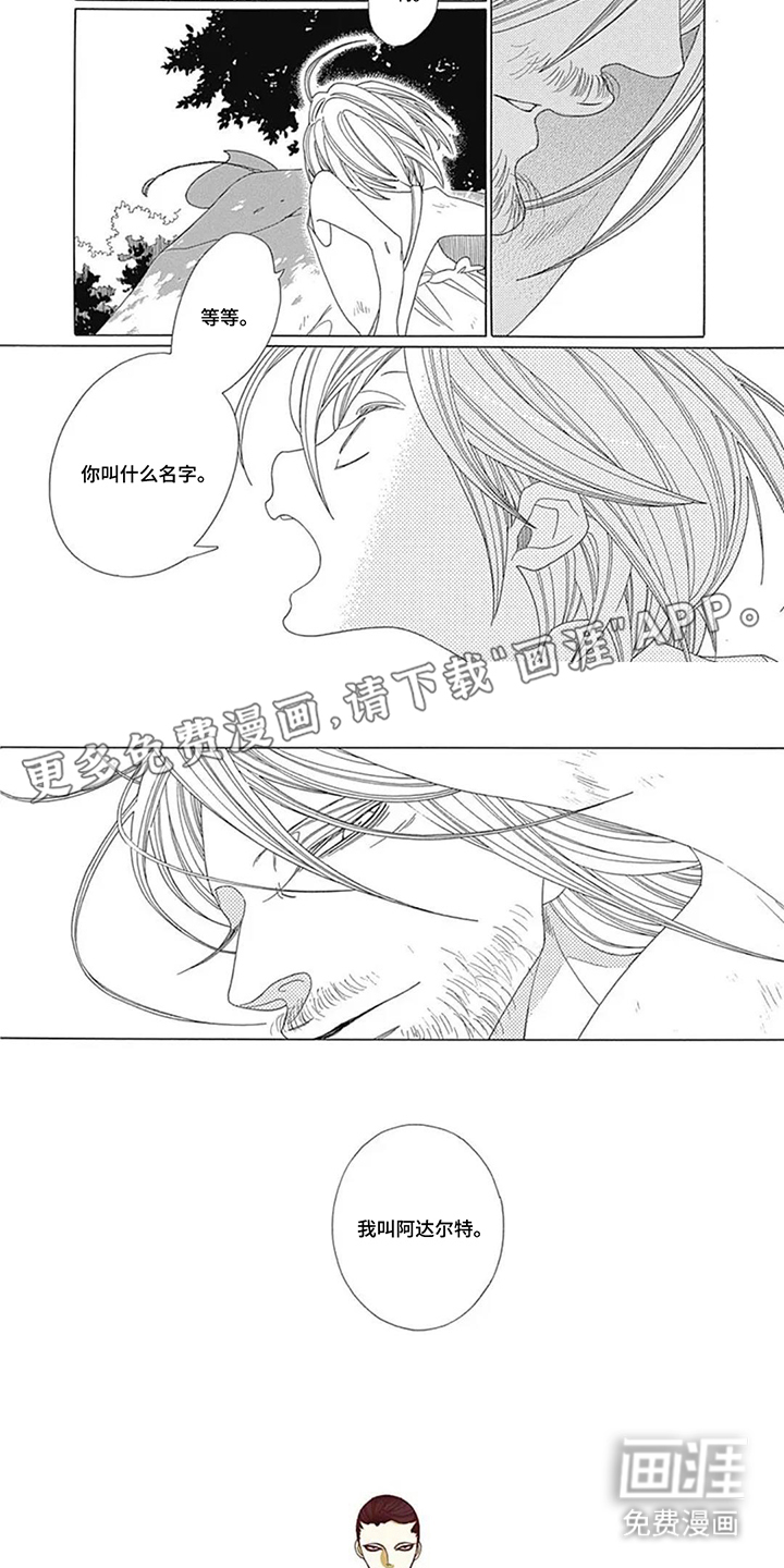 夏利巴尔特之影漫画-图1
