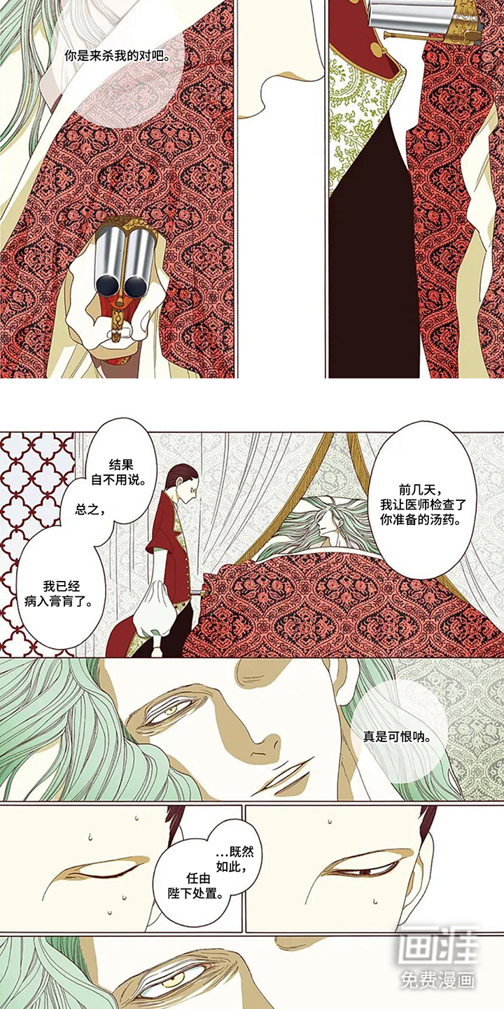 夏利巴尔特之影漫画-图5