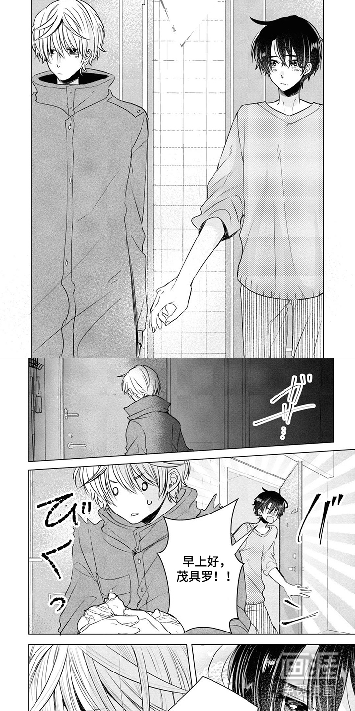 献给黑粉的情书漫画-图3