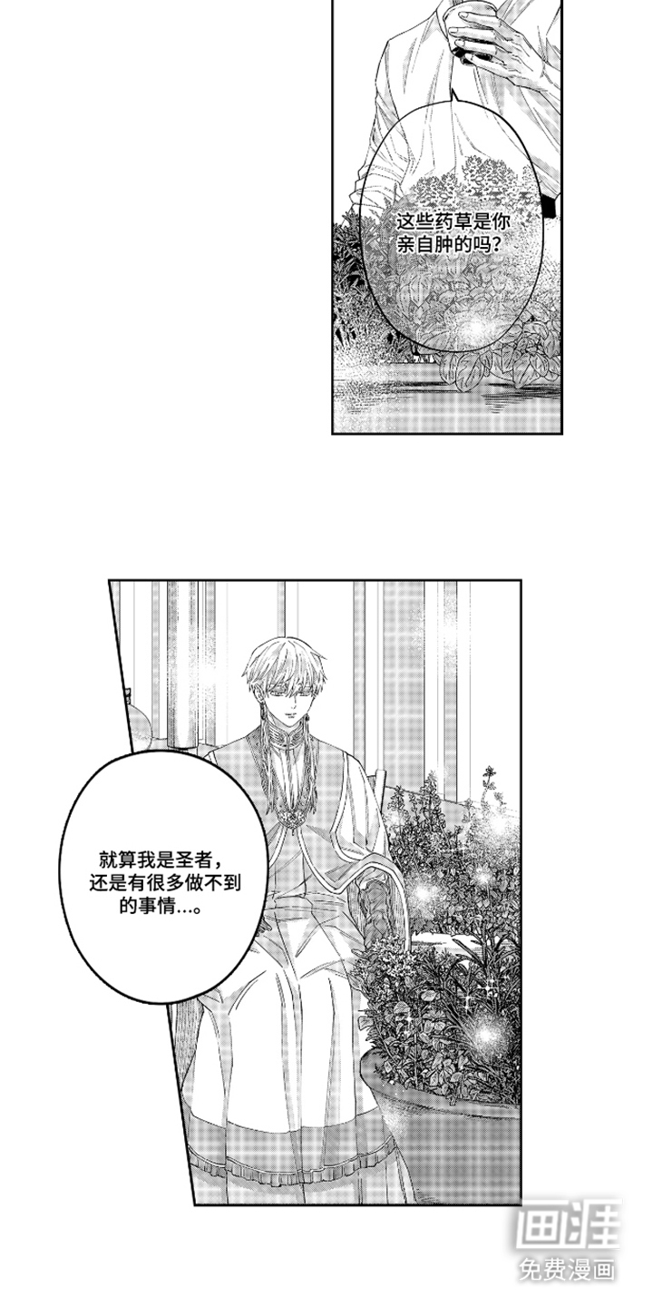 向圣者祈求夜晚漫画-图2