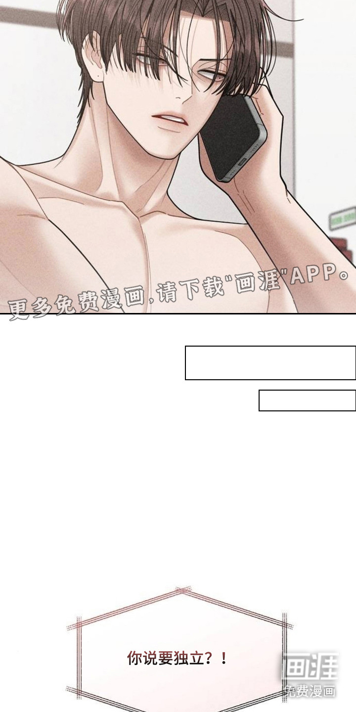 向着微光坠落漫画-图15