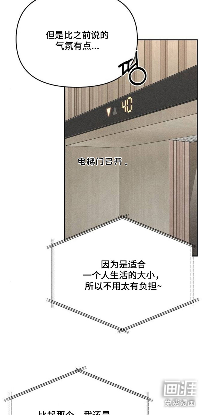 向着微光坠落漫画-图15