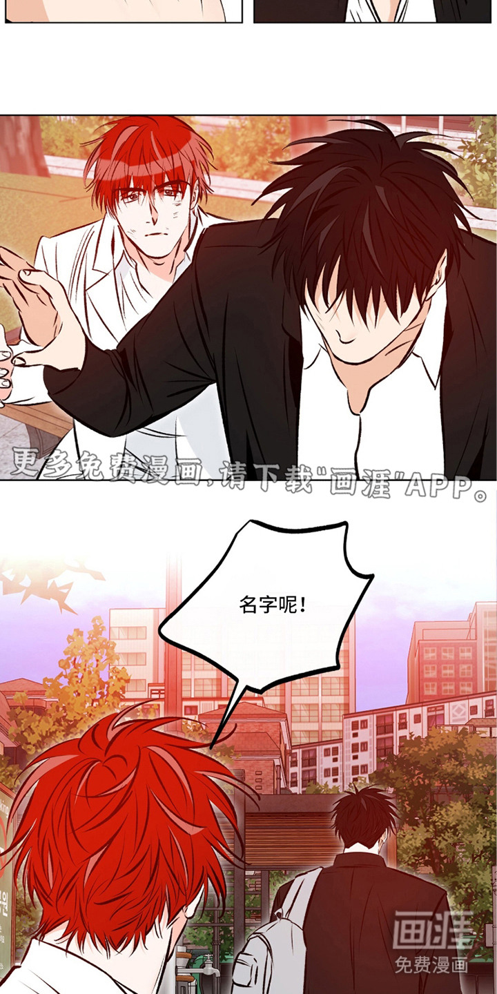 心动伪装漫画-图20