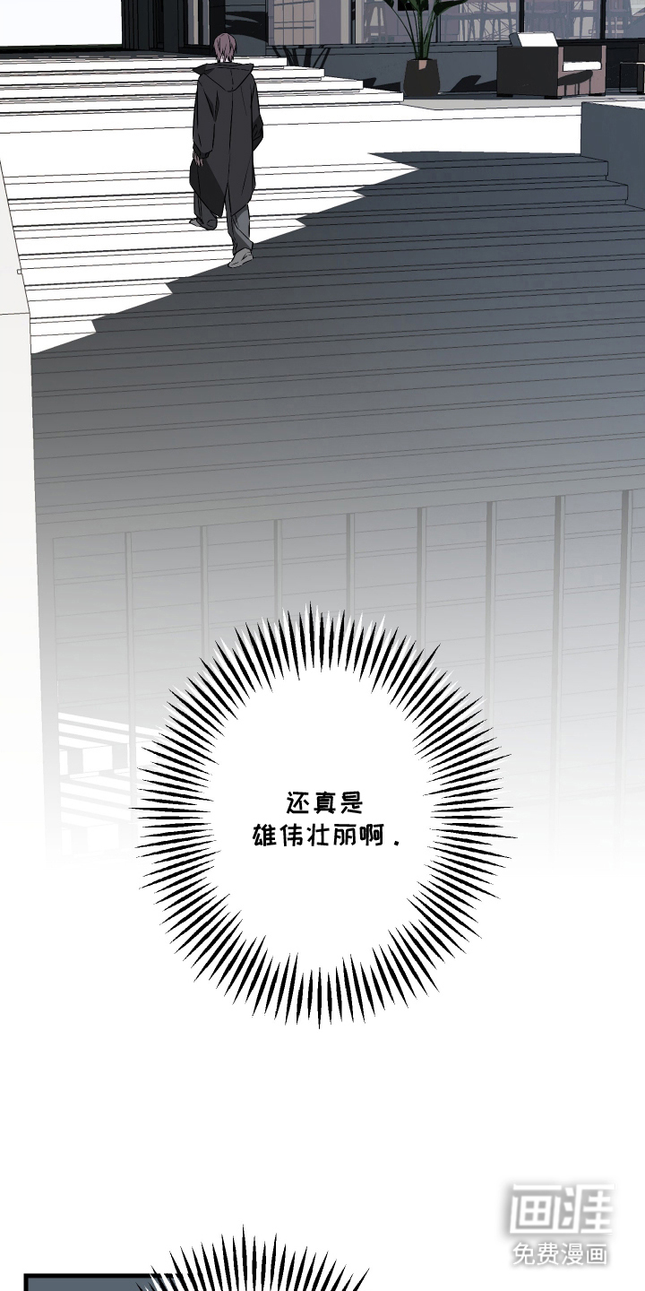 信息素暴力漫画-图15