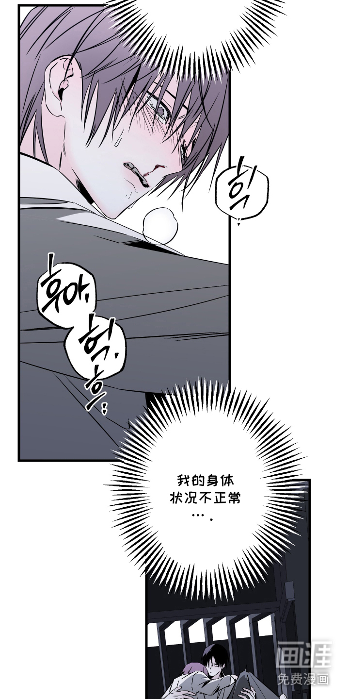 信息素暴力漫画-图11