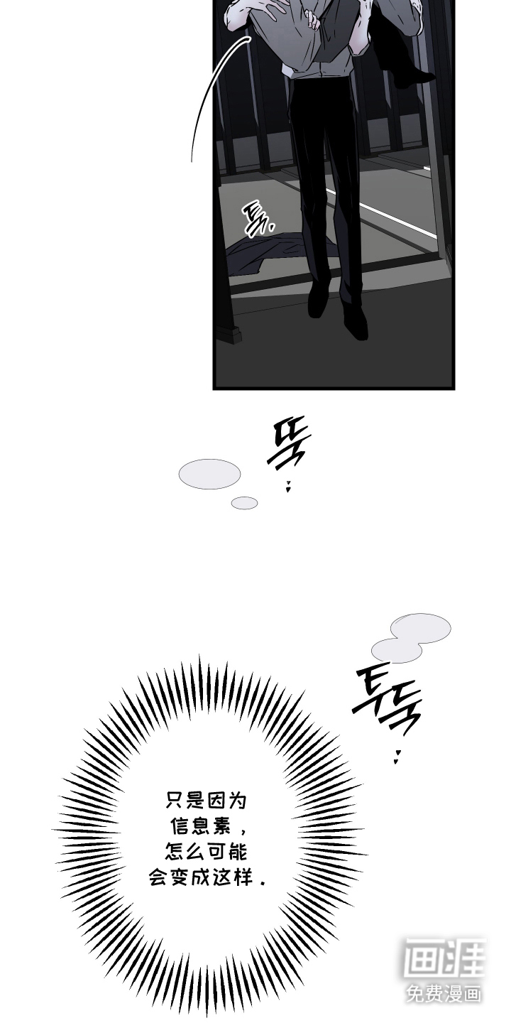 信息素暴力漫画-图12