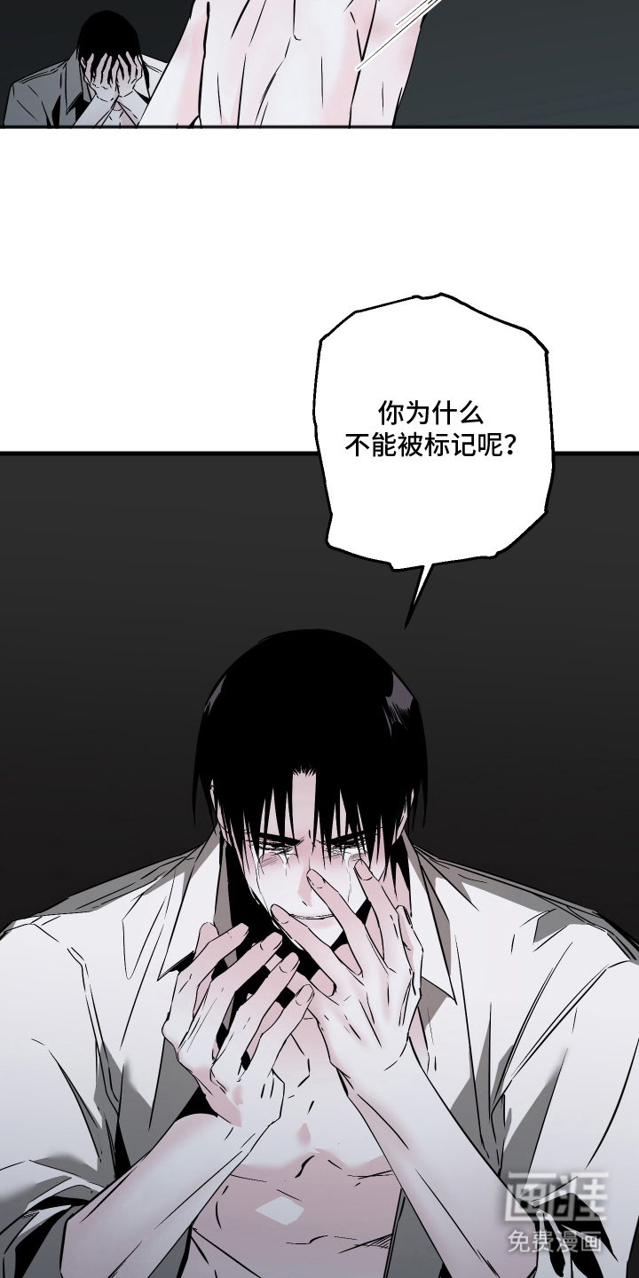 信息素暴力漫画-图4