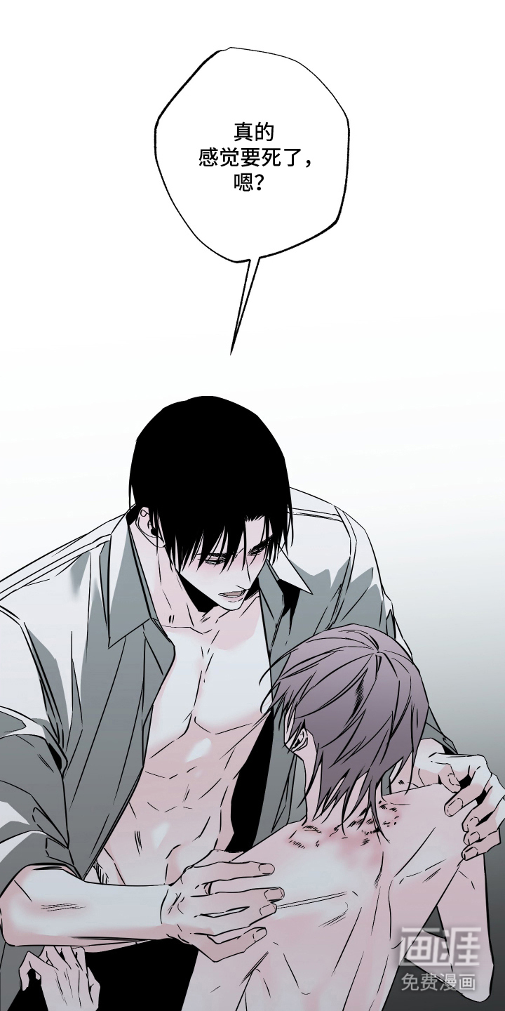 信息素暴力漫画-图19