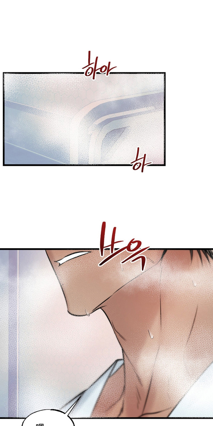 星海之约漫画-图0