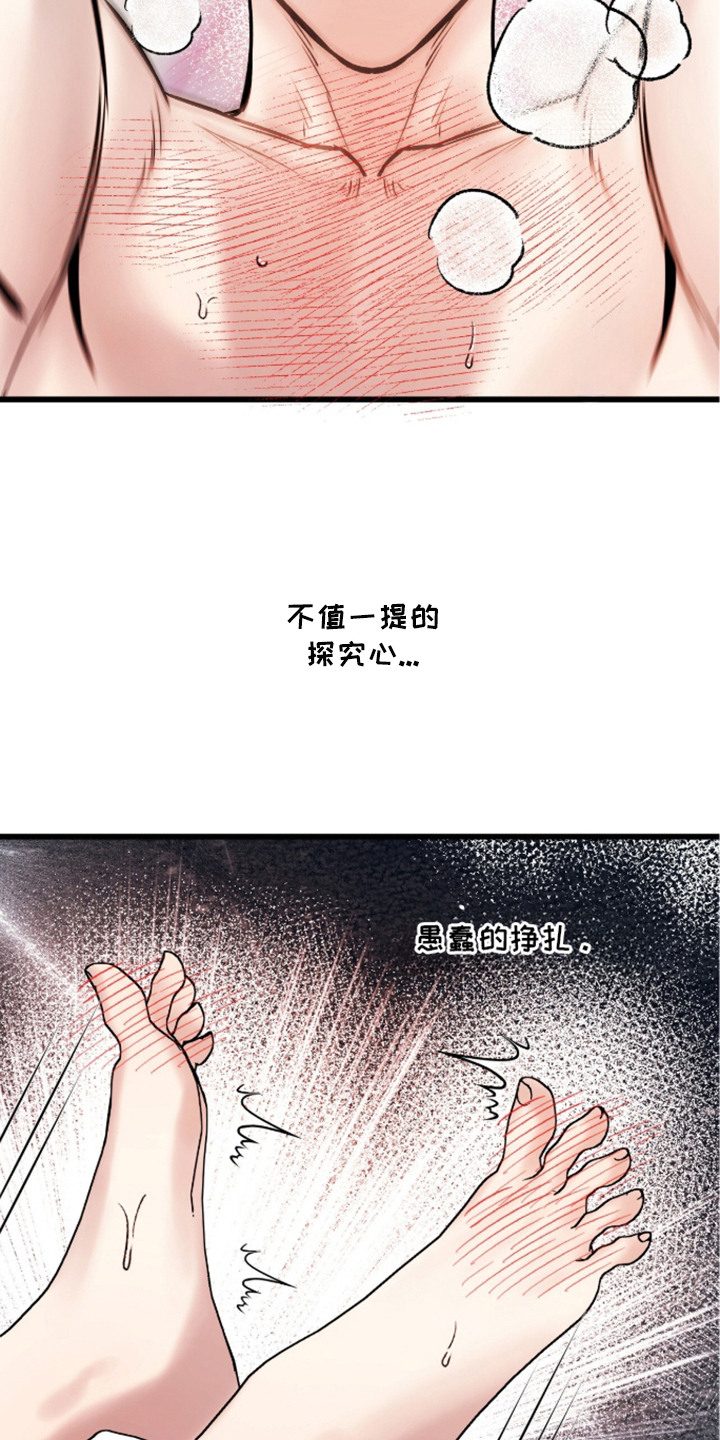 星海之约漫画-图11