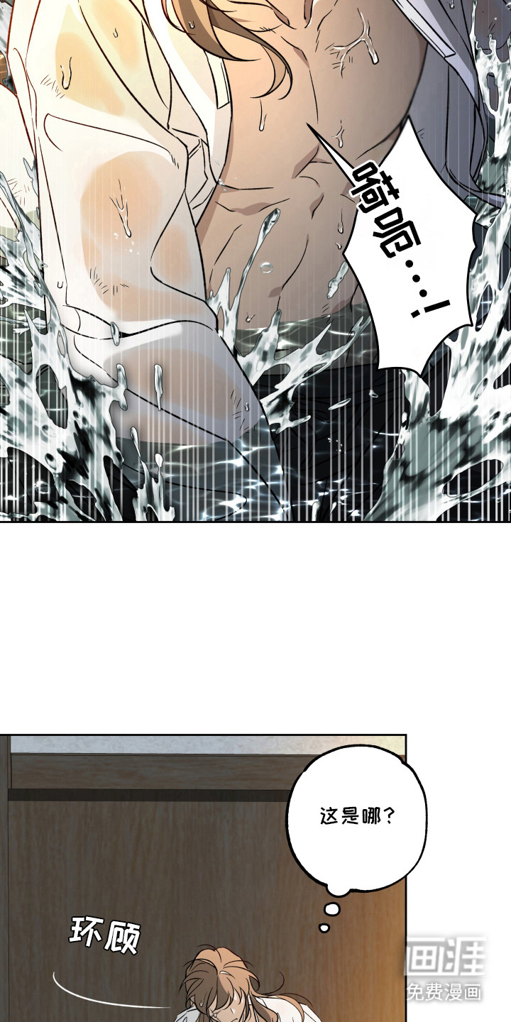 县令的私藏漫画-图9