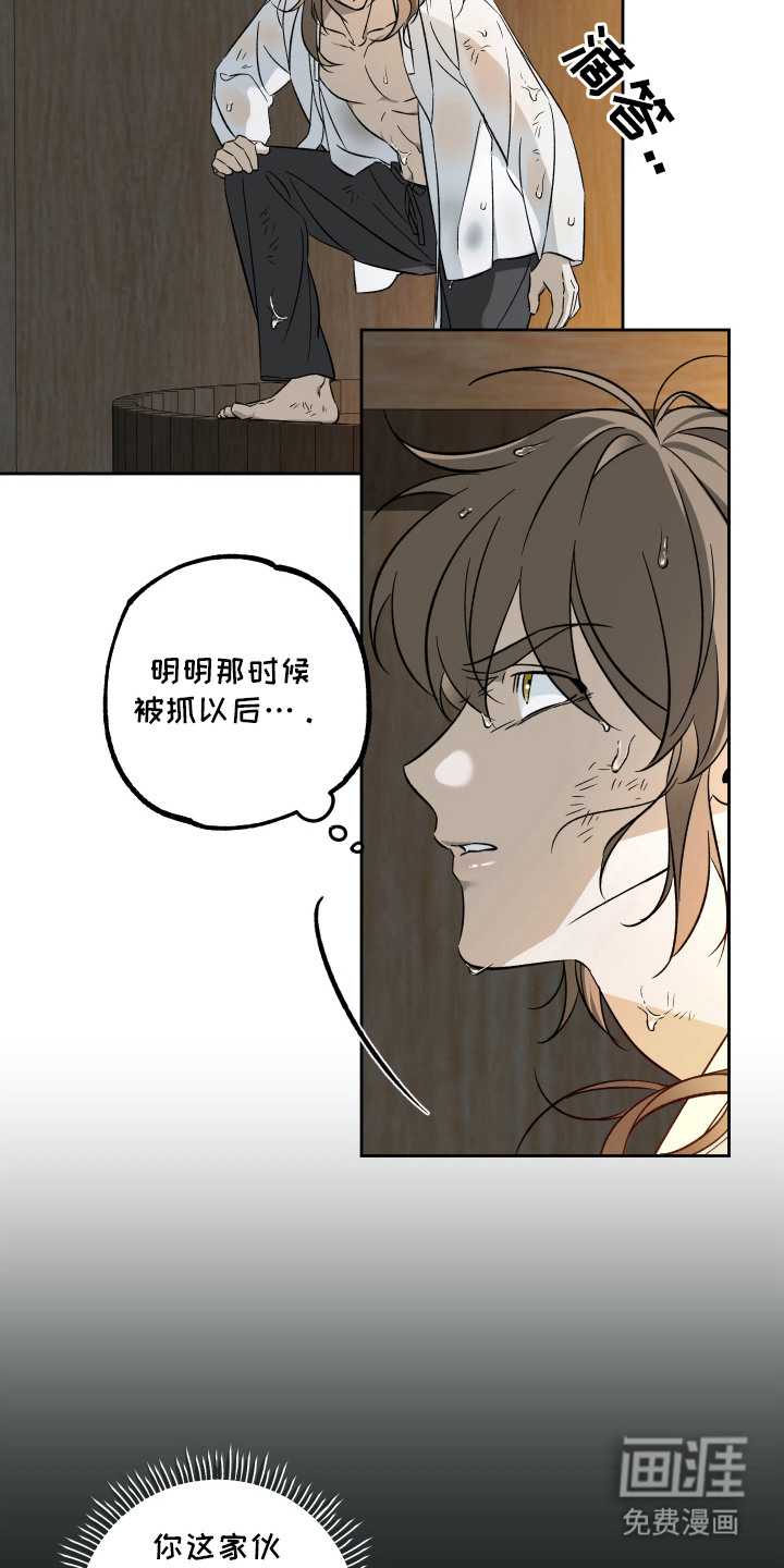 县令的私藏漫画-图10