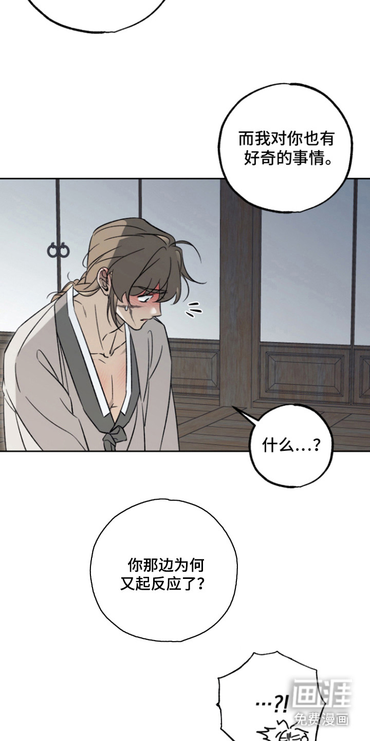县令的私藏漫画-图15