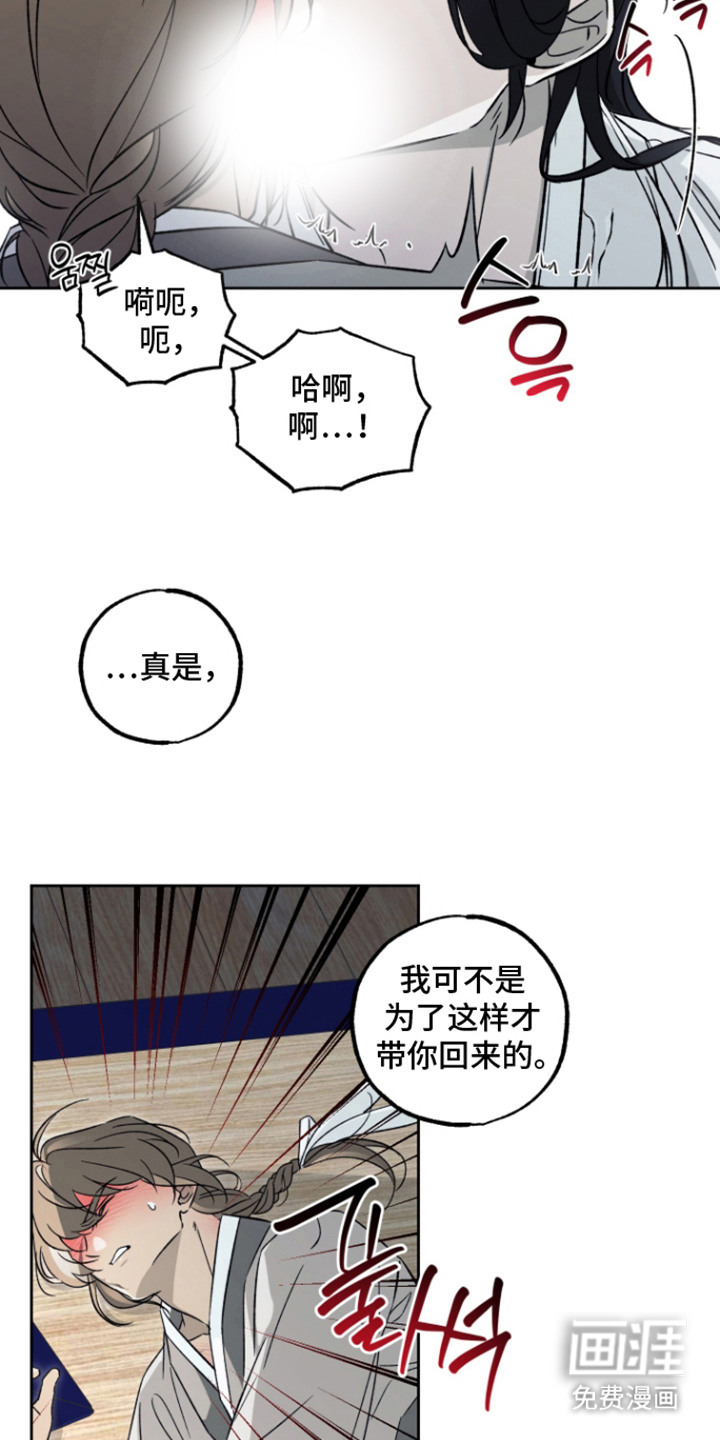县令的私藏漫画-图19