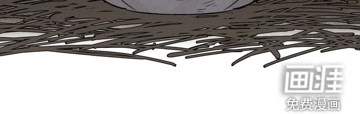 县令的私藏漫画-图10