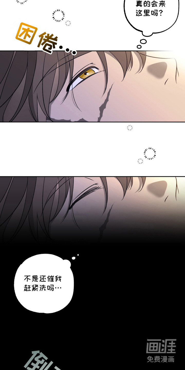 县令的私藏漫画-图12