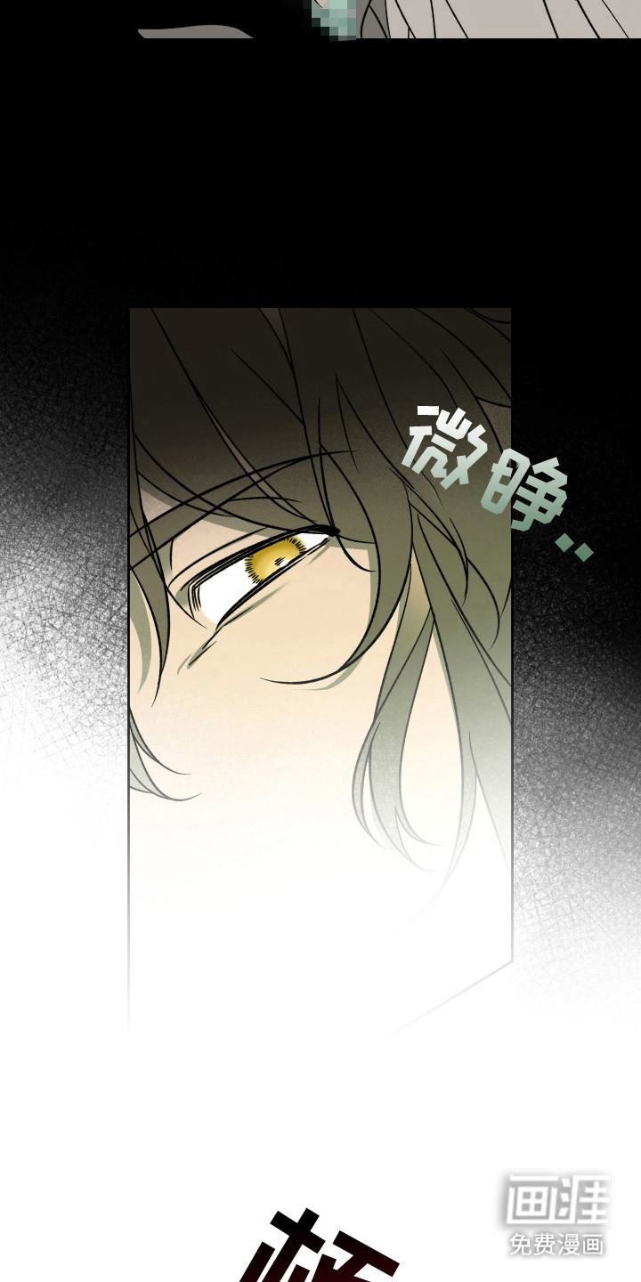 县令的私藏漫画-图15