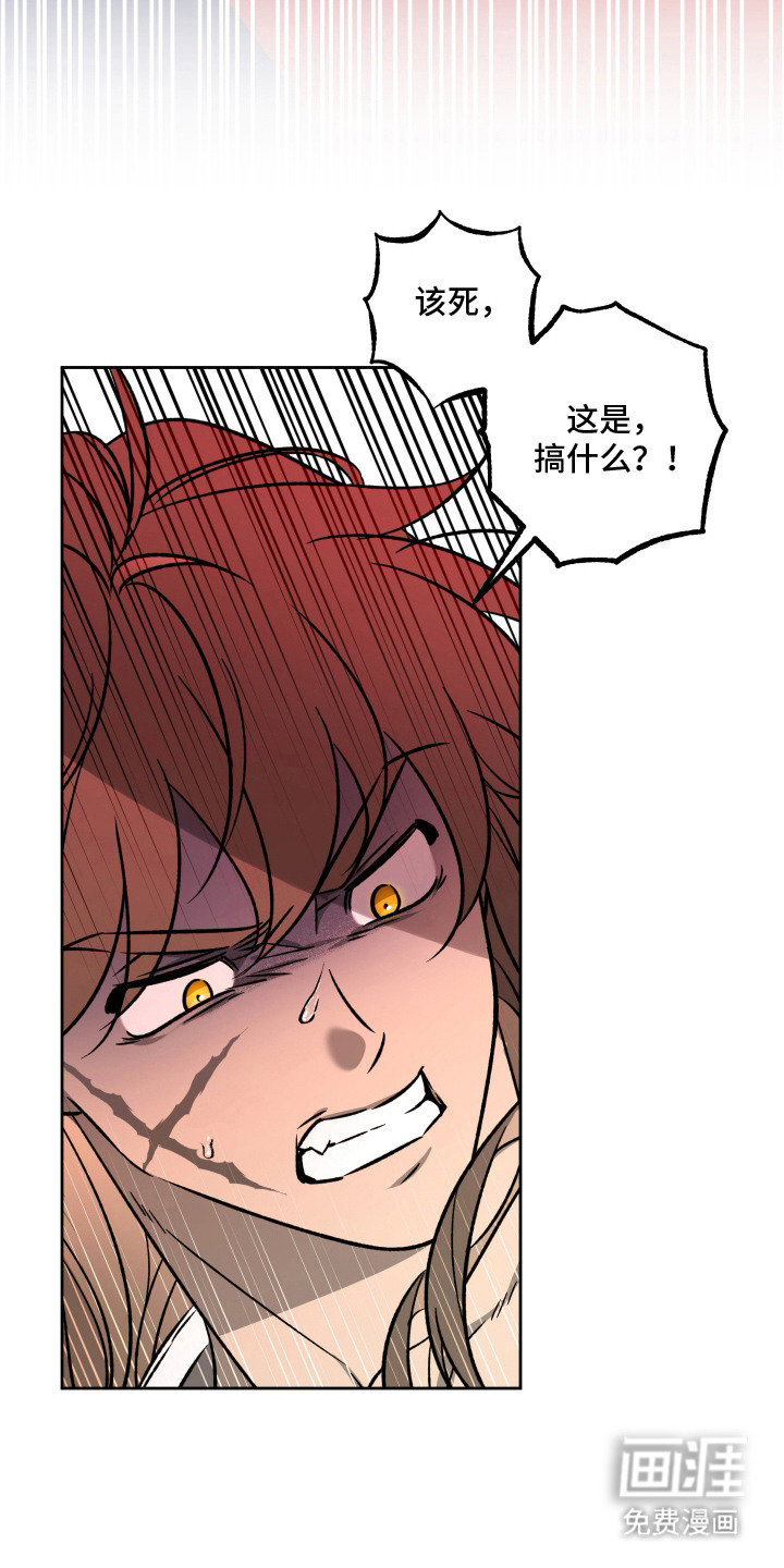 县令的私藏漫画-图17