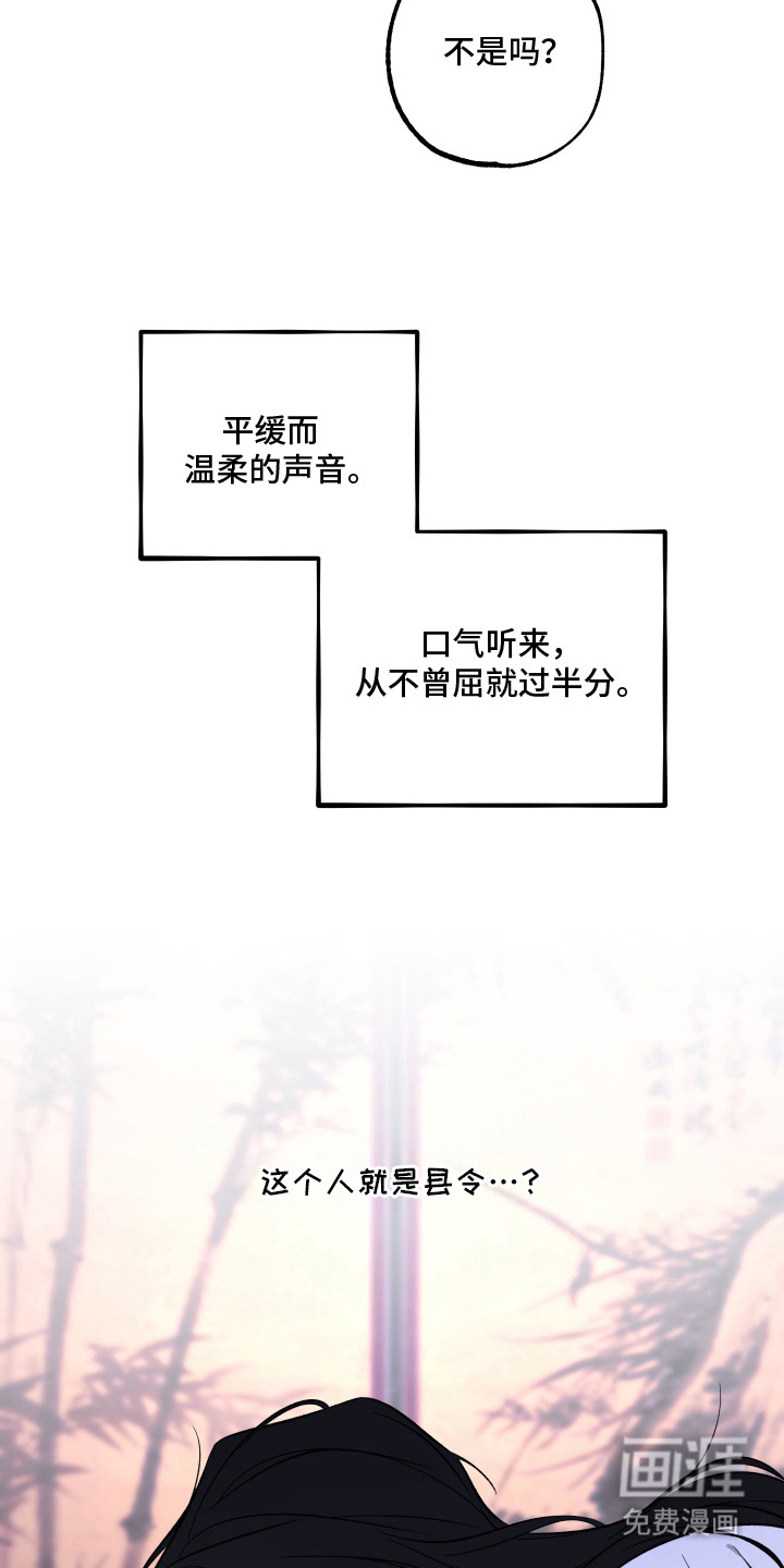 县令的私藏漫画-图20