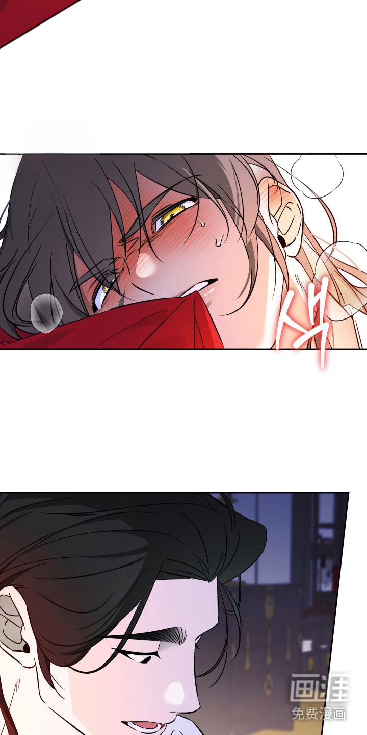 县令的私藏漫画-图11