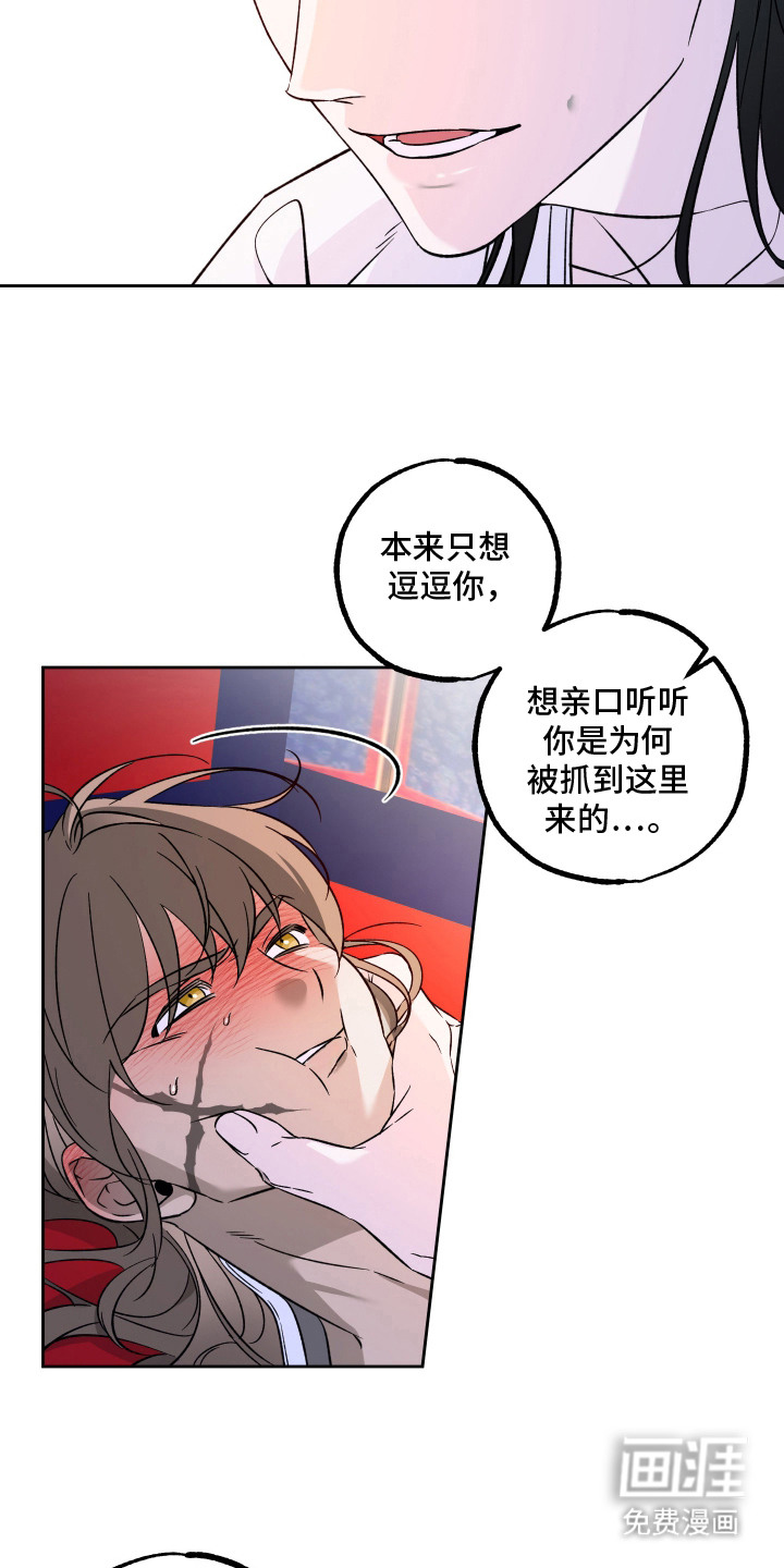 县令的私藏漫画-图14