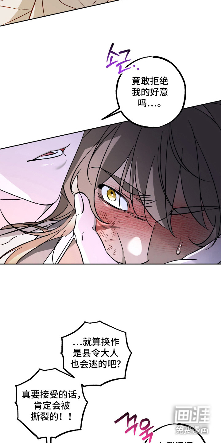 县令的私藏漫画-图8