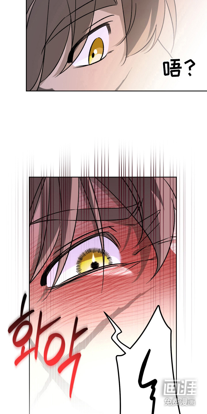 县令的私藏漫画-图11