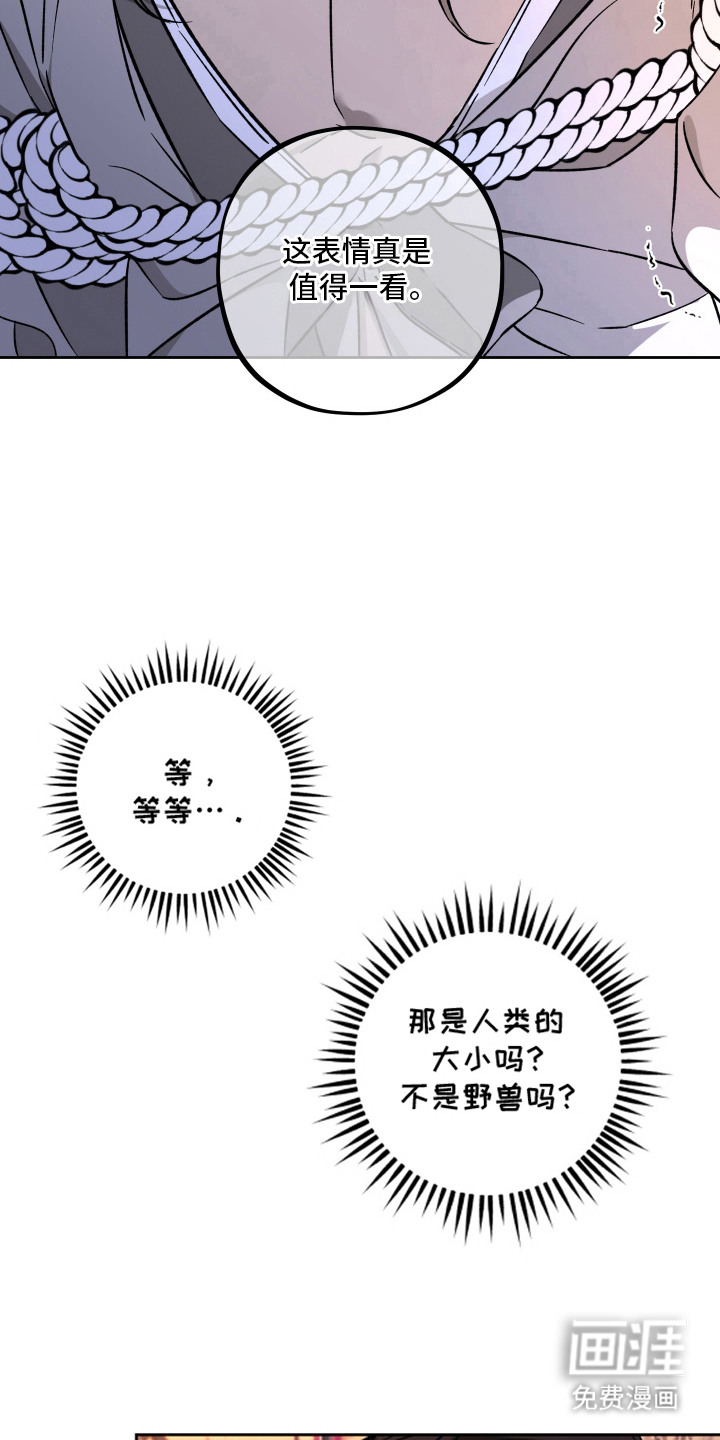 县令的私藏漫画-图14