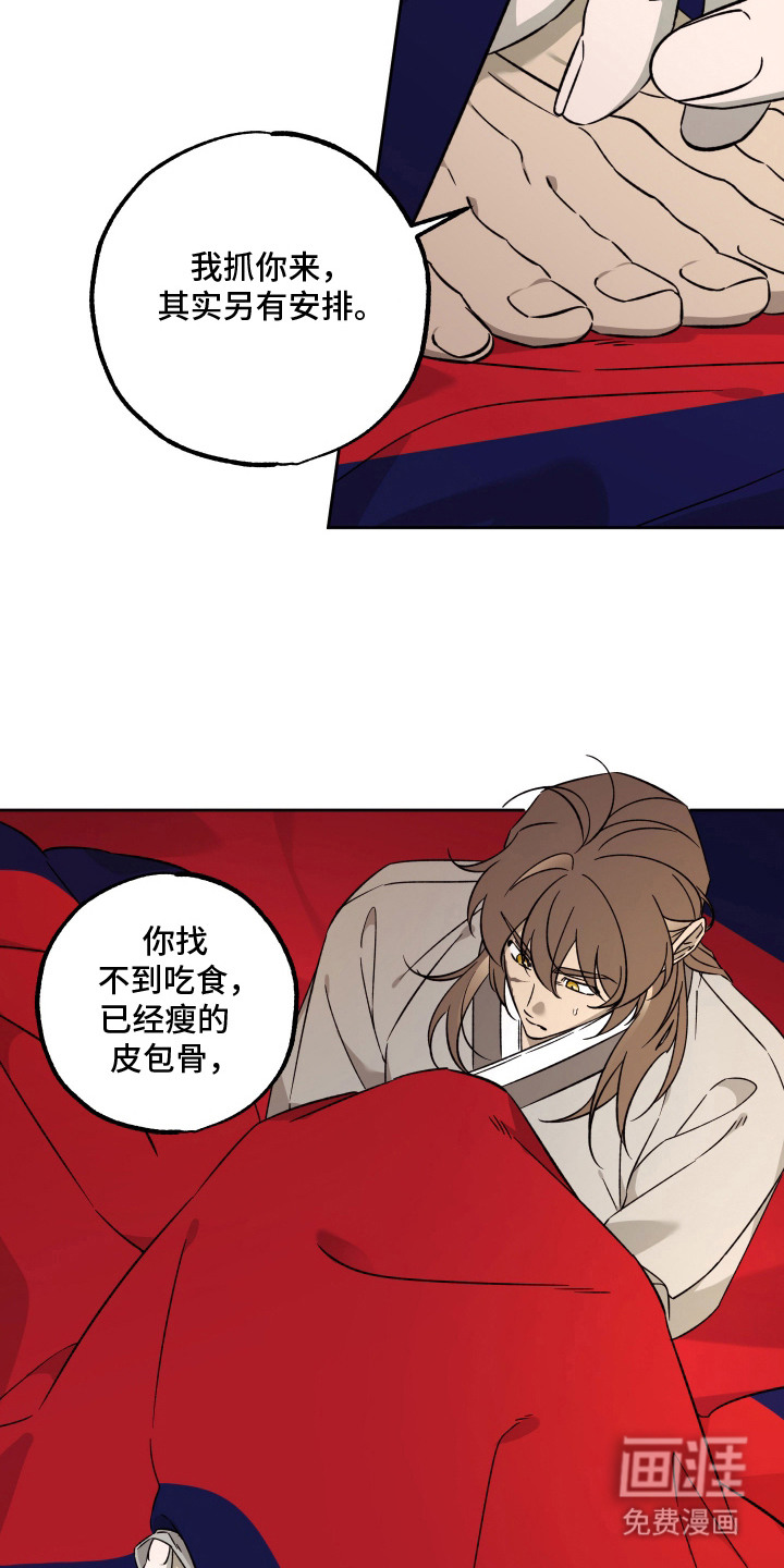 县令的私藏漫画-图20
