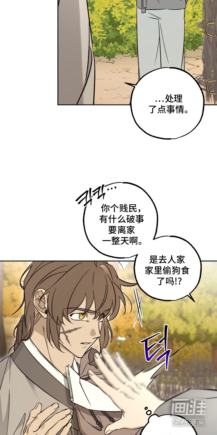 县令的私藏漫画-图15
