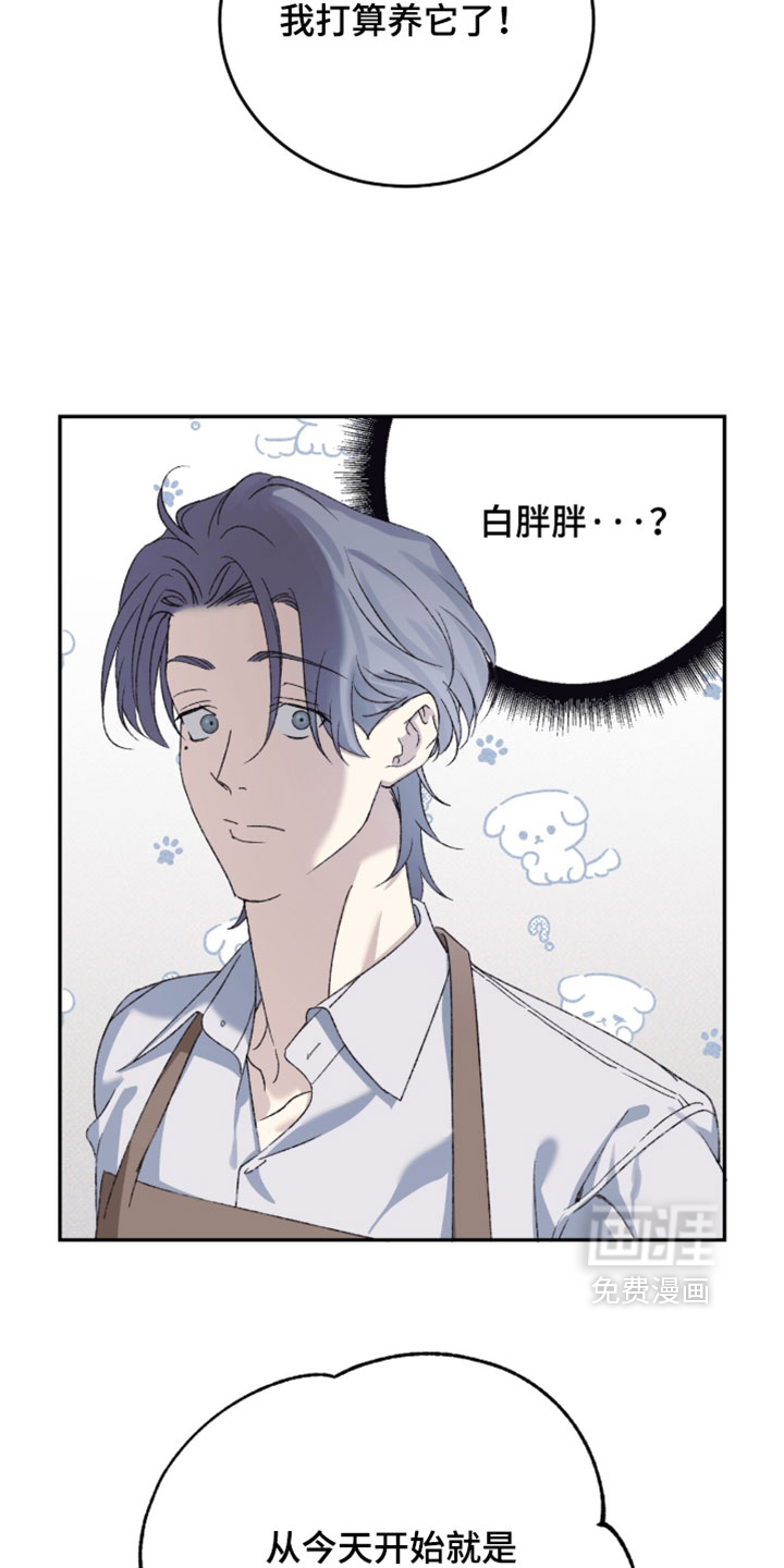 心跳暗码漫画-图13