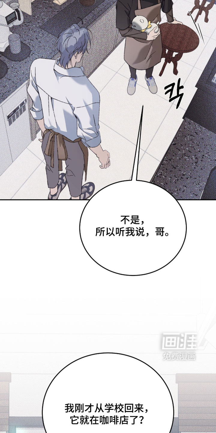 心跳暗码漫画-图15