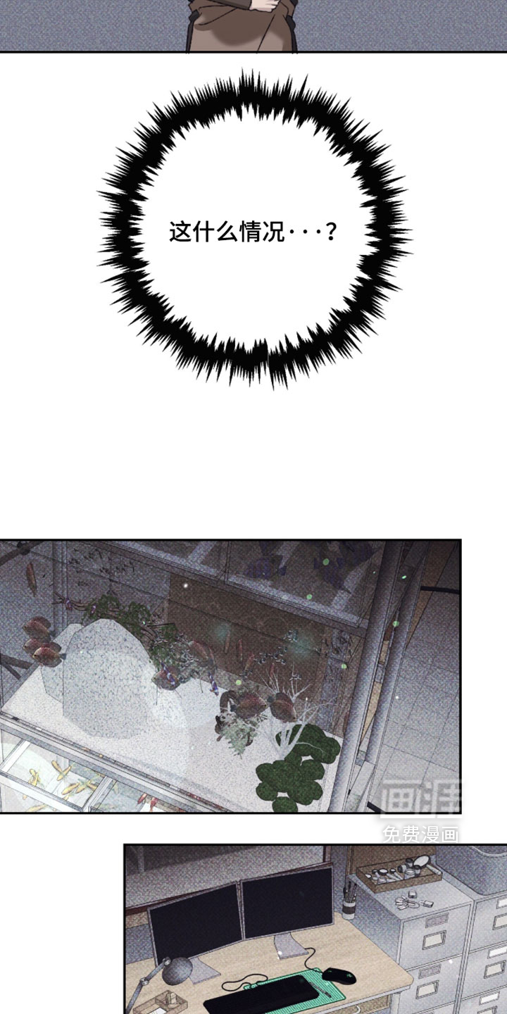 心跳暗码漫画-图3
