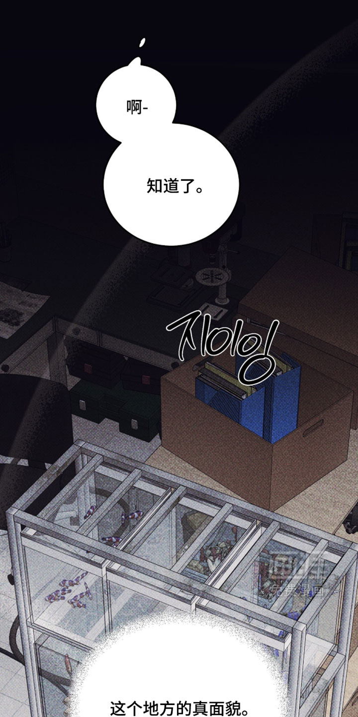 心跳暗码漫画-图10
