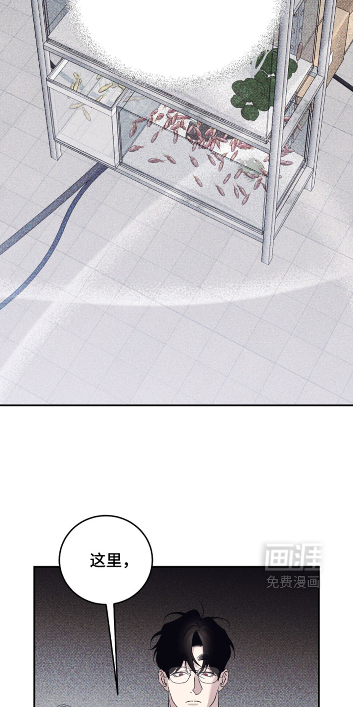 心跳暗码漫画-图11