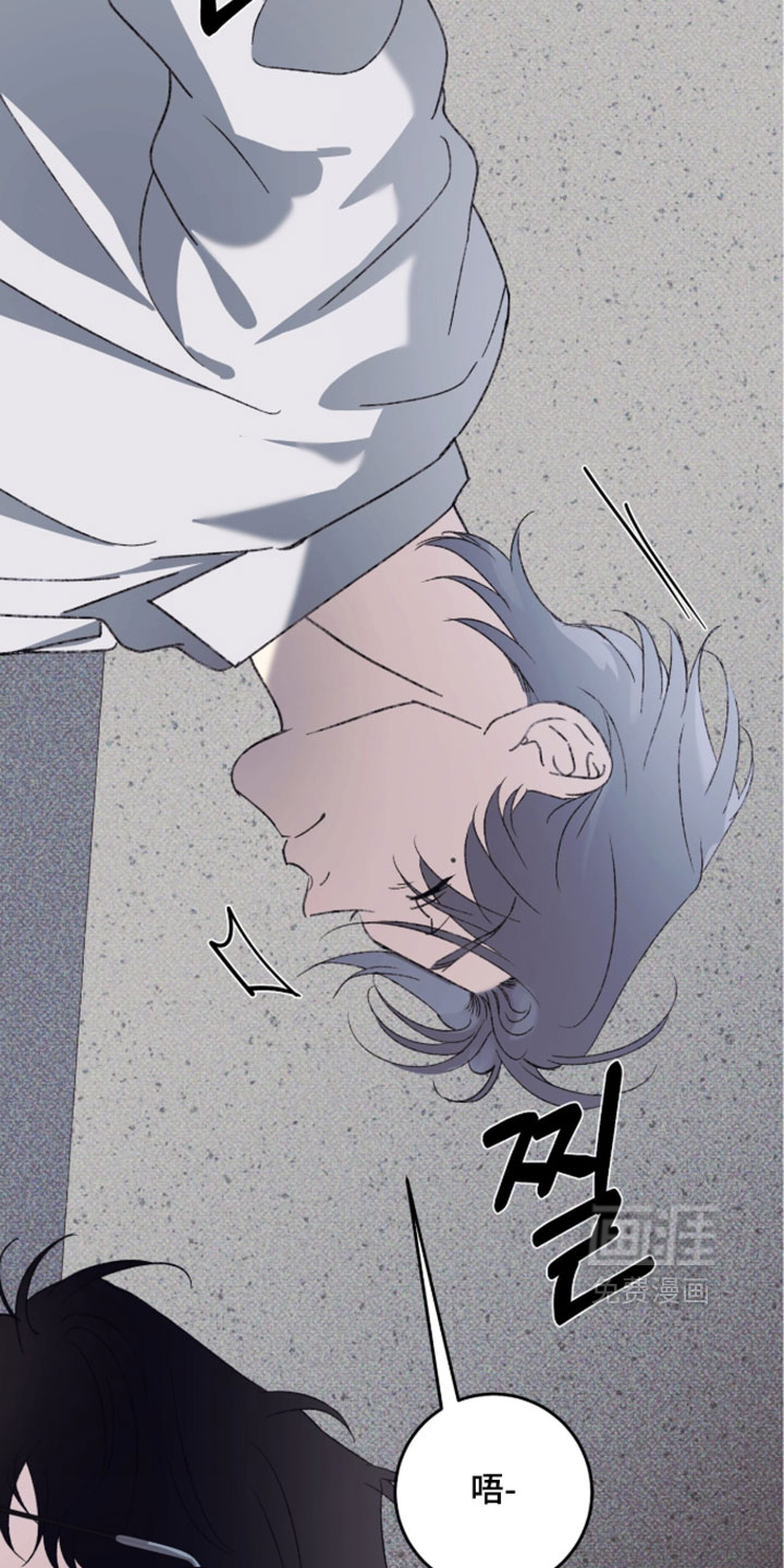 心跳暗码漫画-图14