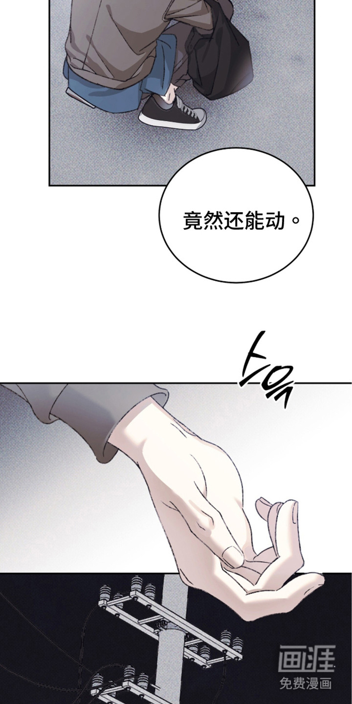 心跳暗码漫画-图8