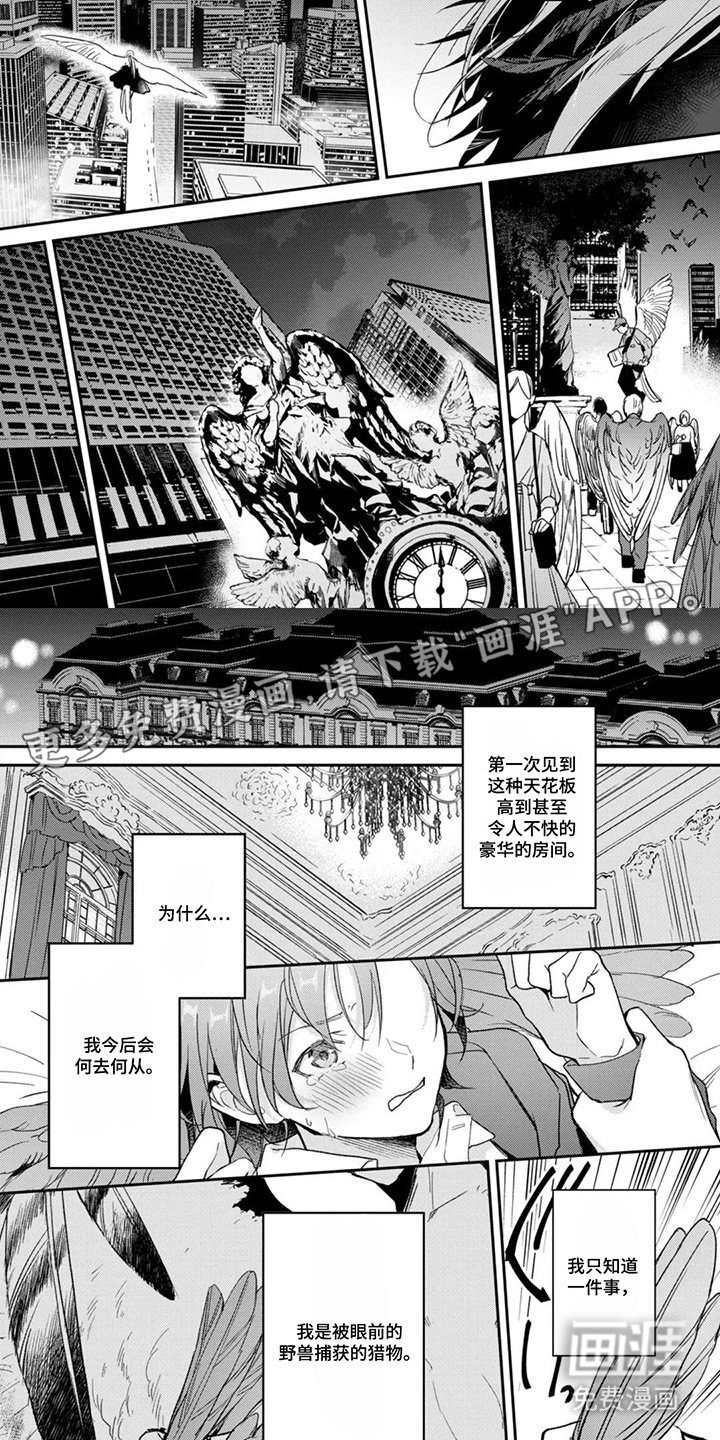幸福的蓝鸟漫画-图1