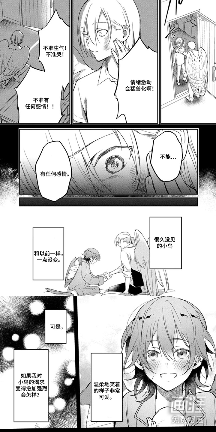 幸福的蓝鸟漫画-图5