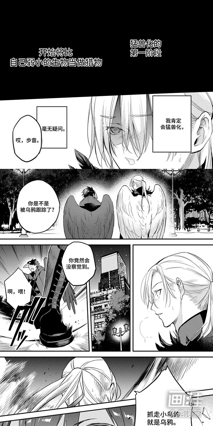 幸福的蓝鸟漫画-图6